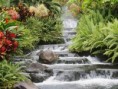 /album/fotogaleria/waterfall-jpg/