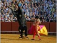 /album/fotogaleria/octavio-11464-funny-images-music-entertainment-ppt-powerpoint-118-88-jpg/